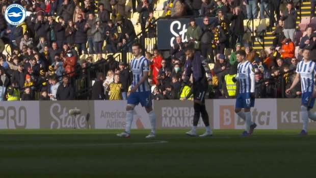 Pitchside: Maupay and Webster secure win at Watford